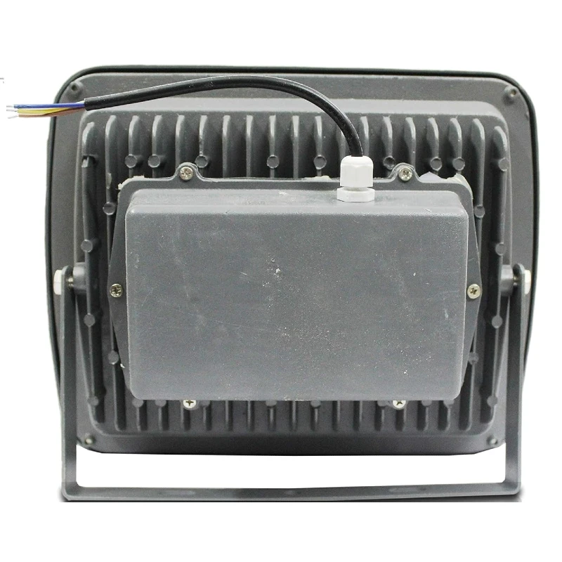 Back Chowk Flood Light view 4